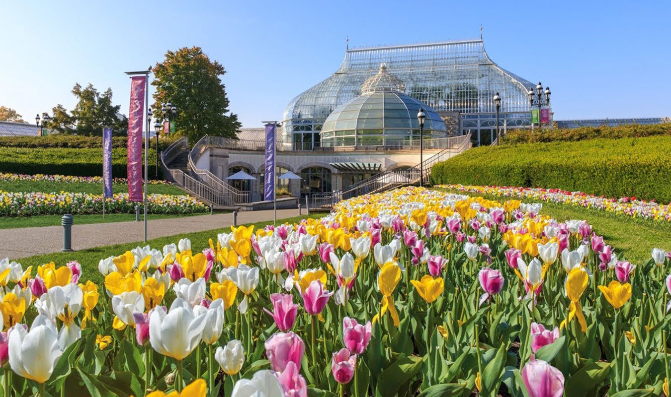 Museums & Nature Centers